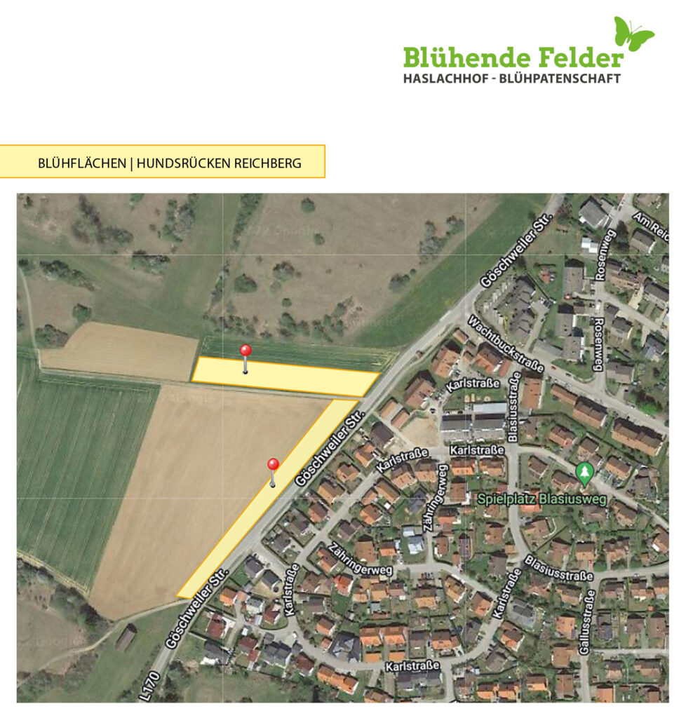 Lageplan-Hundsruecken-1