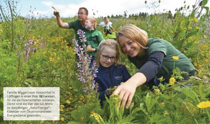 Familie Wiggert in der Blühwiese